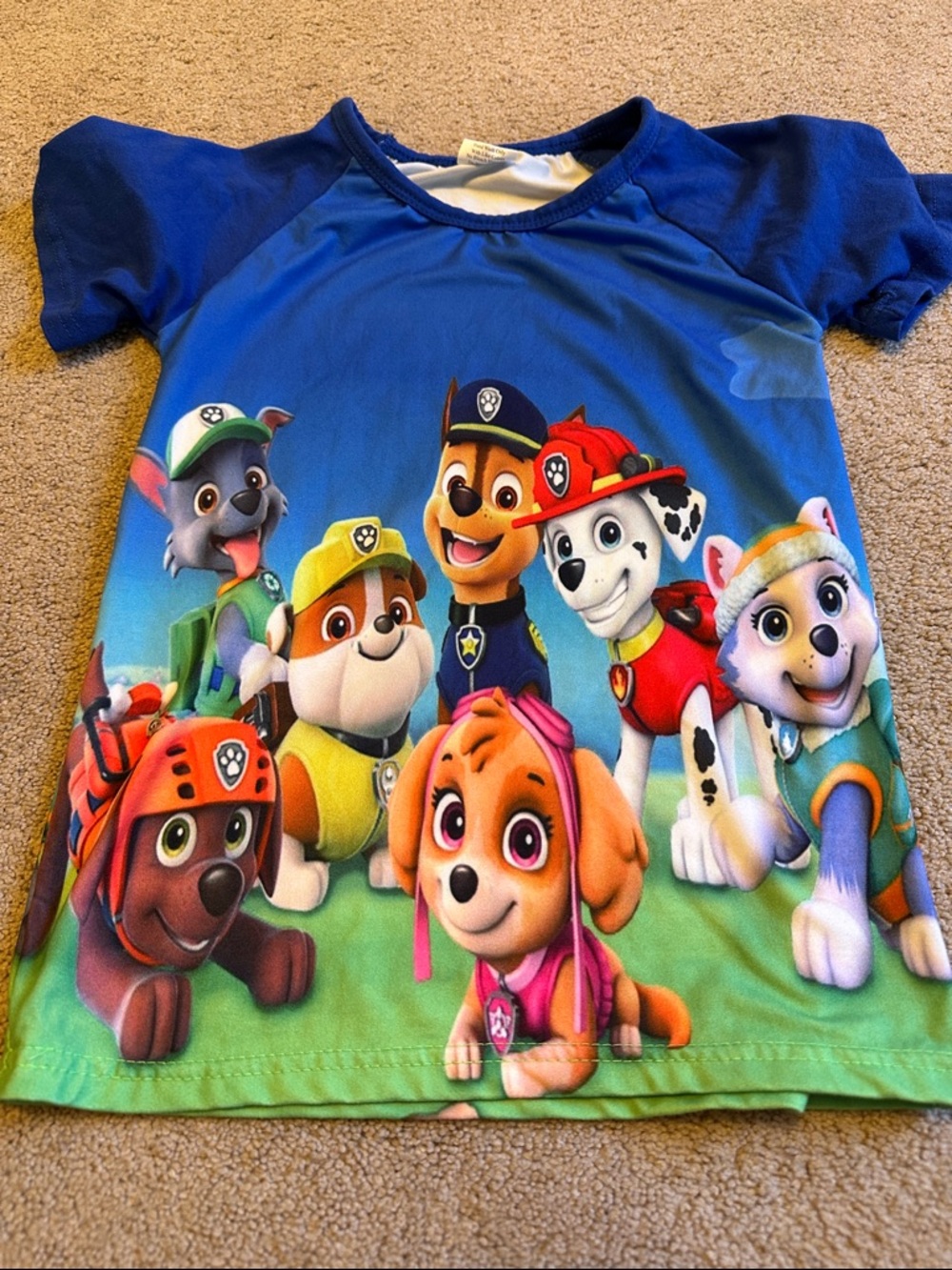 Paw Patrol Kids Short Sleeve Tee - Blue & Green Character Print
